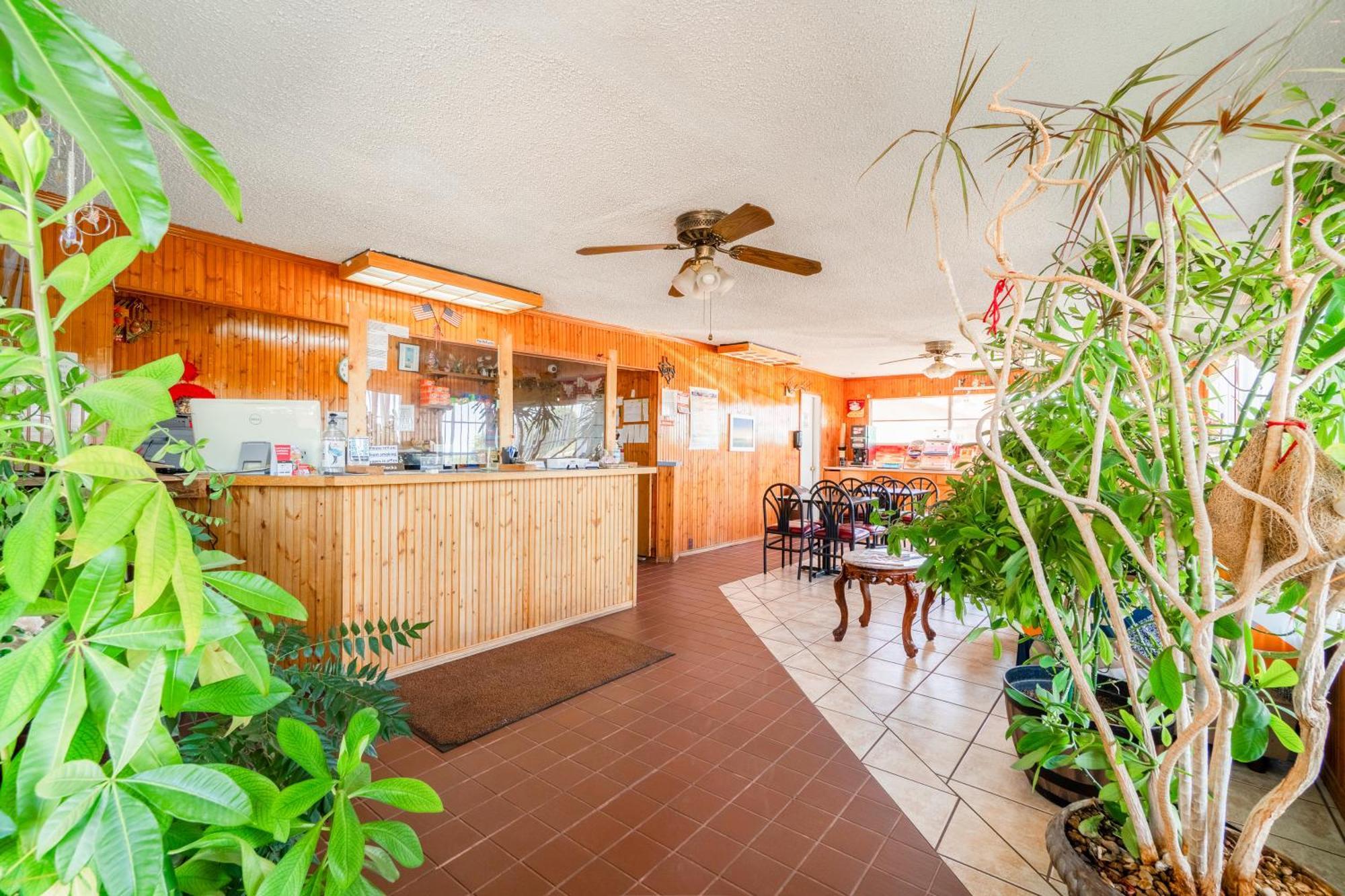 Lone Star Inn By Oyo Vernon Texas Hwy 287 외부 사진